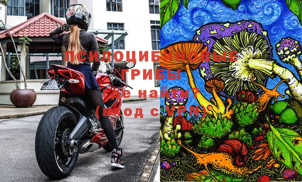 apvp Переславль-Залесский