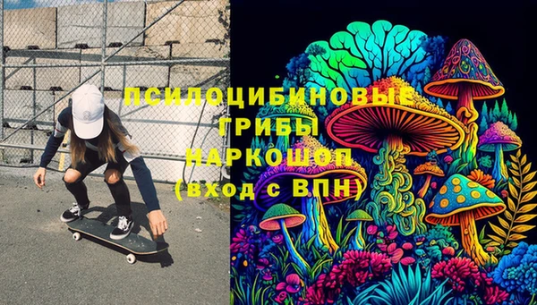 индика Покачи