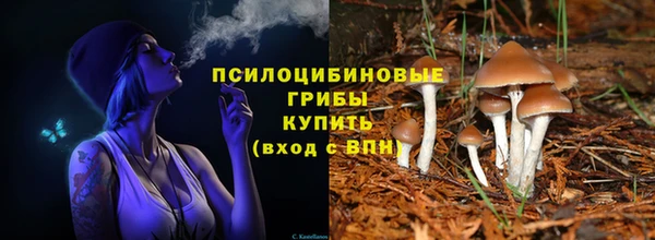 метадон Пестово