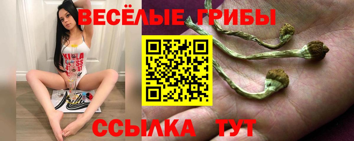 Галлюциногенные грибы Psilocybe Нефтекумск