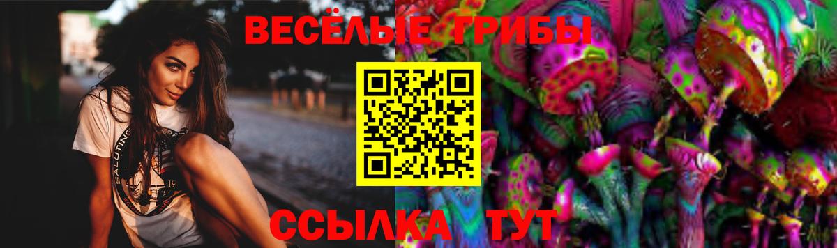 Нефтекумск  Псилоцибиновые грибы ЛСД  Вход с VPN  Галлюциногенные грибы мухоморы 